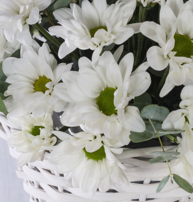 Корзина с хризантемой "Летнее настроение" 36287