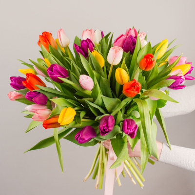 Тюльпаны 51 шт. МИКС 7336