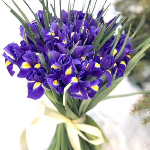 Букет из 25 Ирисов арт. 7333