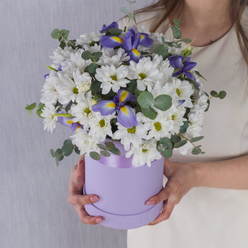 Коробка с кустовой хризантемой и ирисами "Девчата" арт. 36288