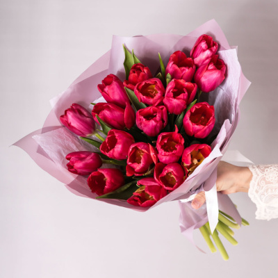 Букет из 19 малиновых тюльпанов в упаковке 59900