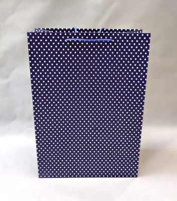 Пакет подарочный 210 Горошек