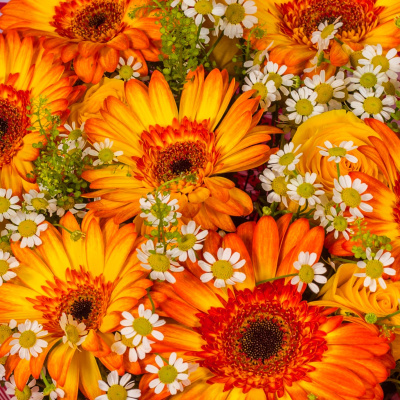 Букет из оранжевых гербер и желтых роз с ромашками 52671