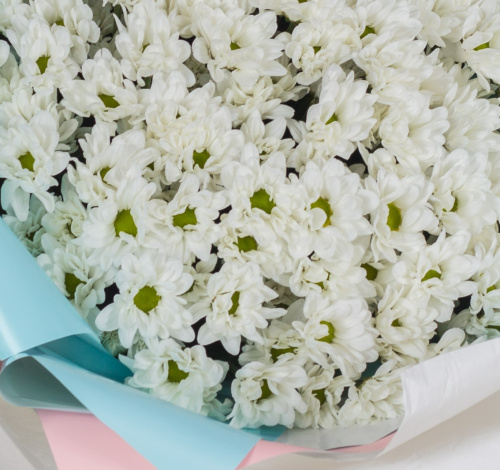 Букет-гигант из 15 кустовых хризантем арт. 36151