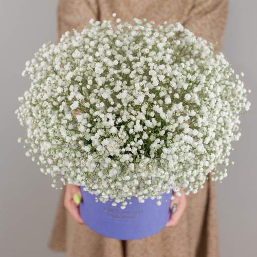 Коробка с гипсофилой белая арт. 50464