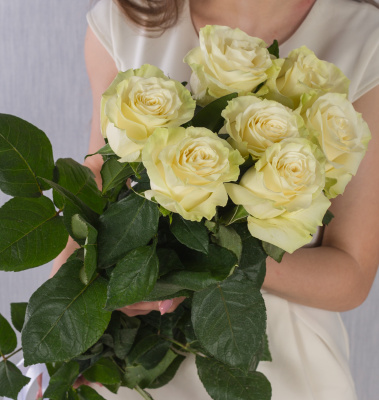 Роза белая с крупным бутоном Эквадор 60 см N 13