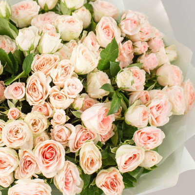 Букет из кустовых пионовидных кремовых роз с эвкалиптом N 50568